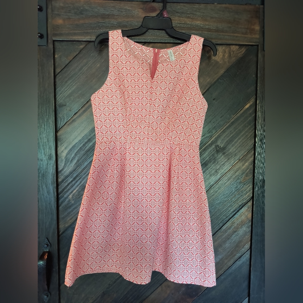 Pink Owl Vintage Dress size L